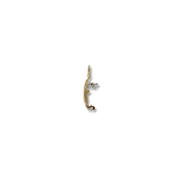Charm Charms in Argento CS0728-AG